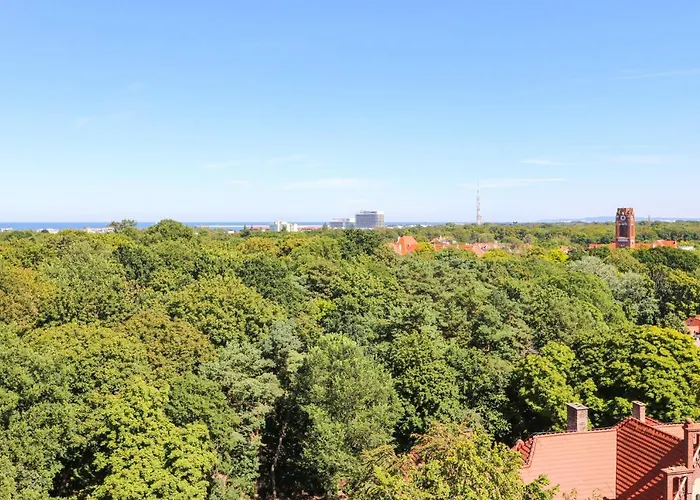 Morena Z Widokiem Z Tarasu Na Morze *